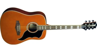 EKO Ranger VI VR EQ Natural Top Stained
