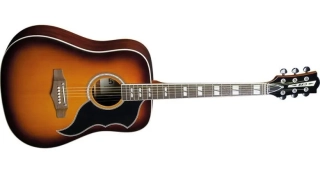 EKO Ranger VI VR Honey Burst