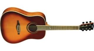 EKO One D Vintage Burst