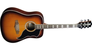 EKO Ranger VI VR EQ Honey Burst