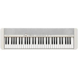 CASIO CT S1 WE