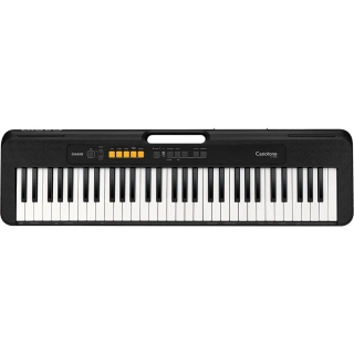 CASIO CT S100 