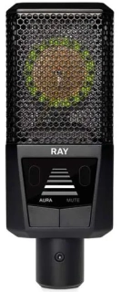 LEWITT RAY