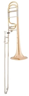 ARNOLDS & SONS ASL-432G Terra