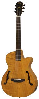 Aria FET-F2