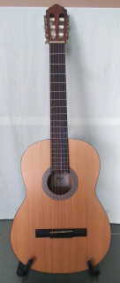 Cort AC10-NS