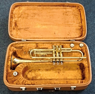 Amati Senator