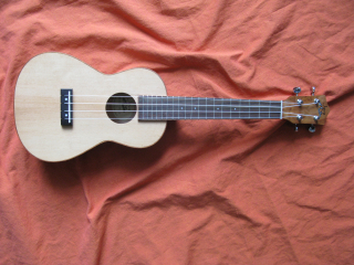 Java by Tanglewood TUJ4  