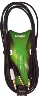 Bespeco EAYS2J300
