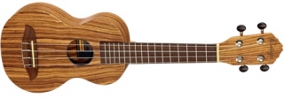 ORTEGA RFU10Z