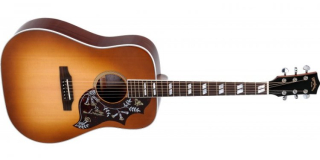 Sigma Guitars DM-SG5