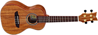 ORTEGA RUACA-CC