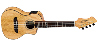 ORTEGA RUMG-CE