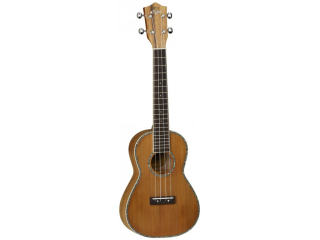 Java by Tanglewood TUJ3