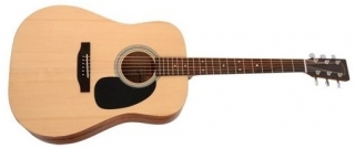 Sigma Guitars DT-ST-WF
