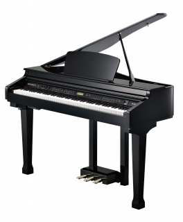 KURZWEIL KAG100 EP