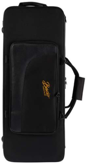 BACIO INSTRUMENTS BTSC010