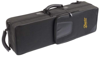 BACIO INSTRUMENTS BSSC010