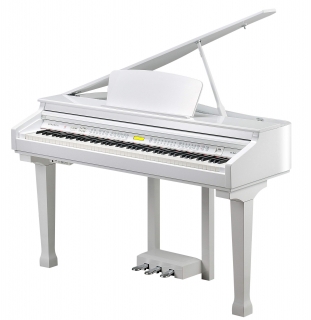 KURZWEIL KAG100 WHP